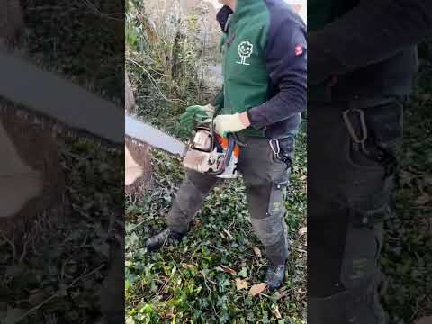 Sicherheitsfälltechnik und Kastenschnitt