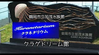 【クラゲドリーム館】クラネタリウム【加茂水族館】