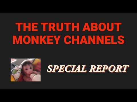 SPECIAL REPORT - The truth about monkey channels - PART 1