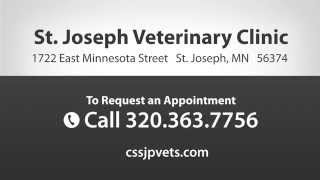 preview picture of video 'St. Joseph Veterinary Clinic - Short | St. Joseph, MN'