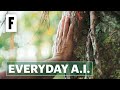 How A.I. could save Hawaii's rainforests | Everyday A.I.