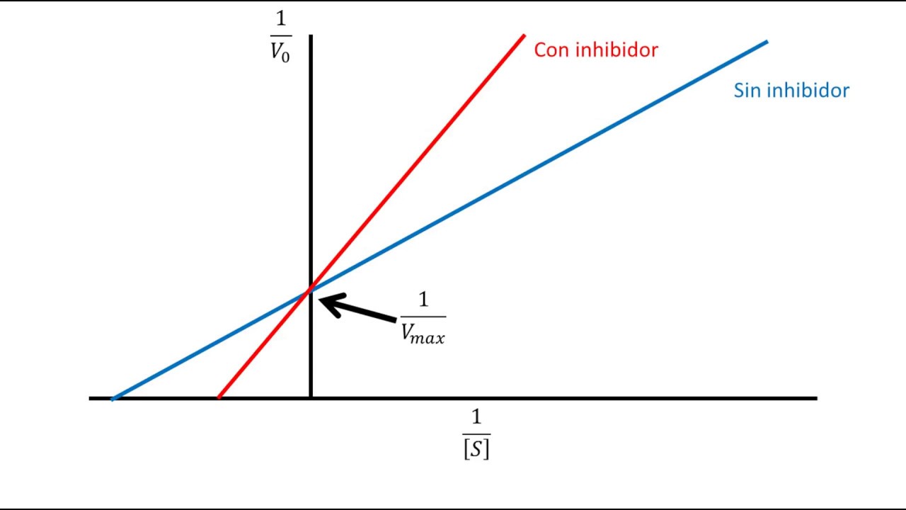 Exemplos De Inibidores Competitivos E Não Competitivos