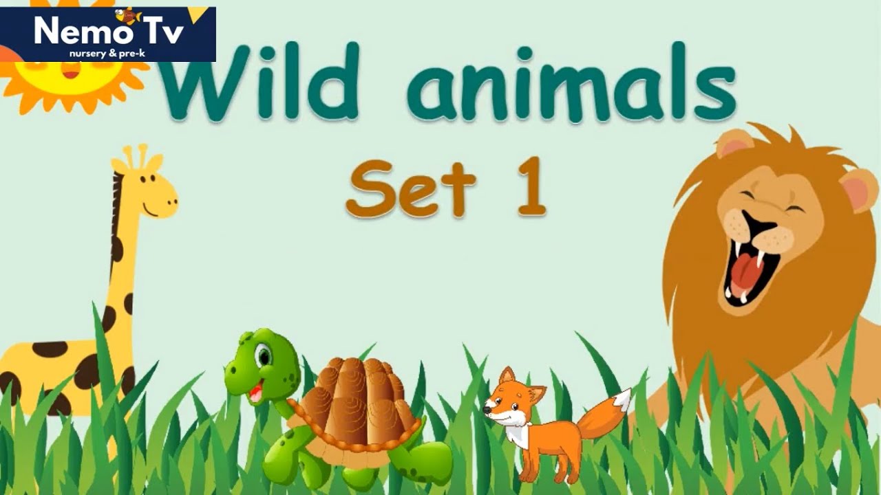 Learn Wild Animals Set 1 | Flashcards | Preschool, ESL