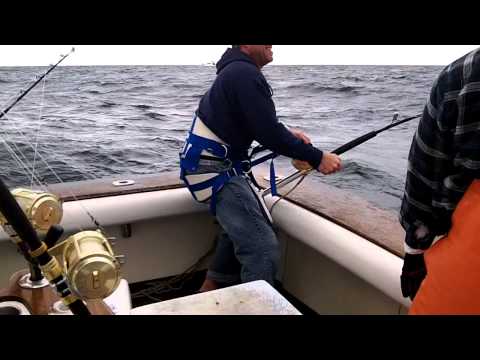 Chip working a Regal Sword bluefin. September 27, 2012.