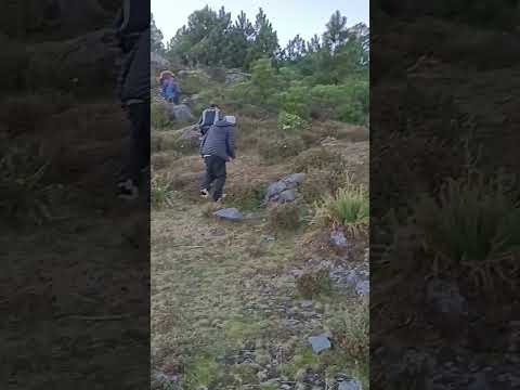 Vista desde el "Camba", borde entre Sibinal y Tacaná S.M. #tacana #guatemala #naturelovers #shorts
