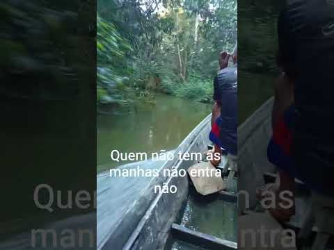 #canal#silves Amazonas #