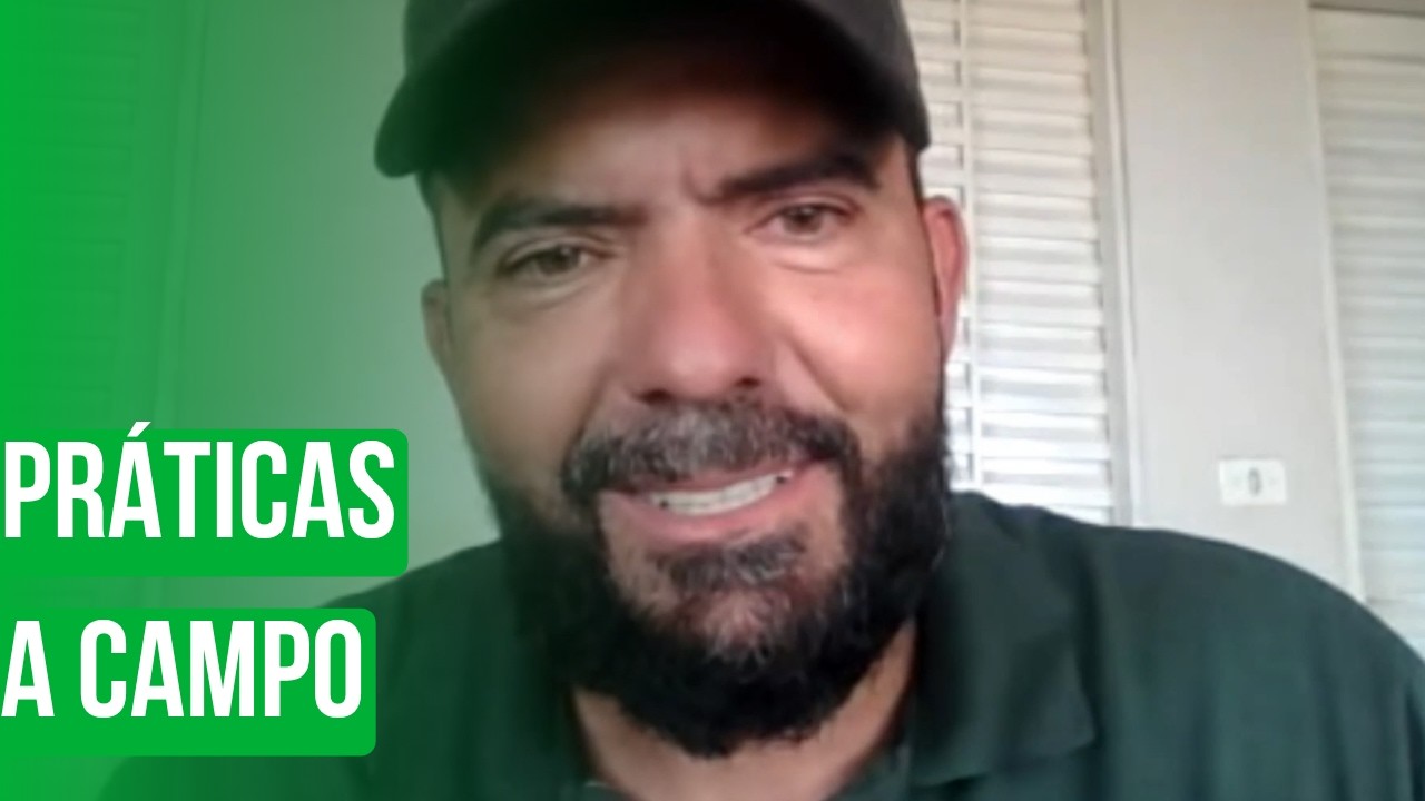 Práticas a campo
