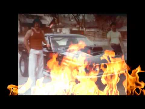 DAVE VEGA viva tirado