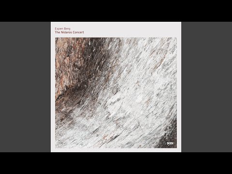 The Nidaros Concert Pt. 2 (Live)