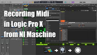 Recording Midi Into Logic from Native Instruments Maschine