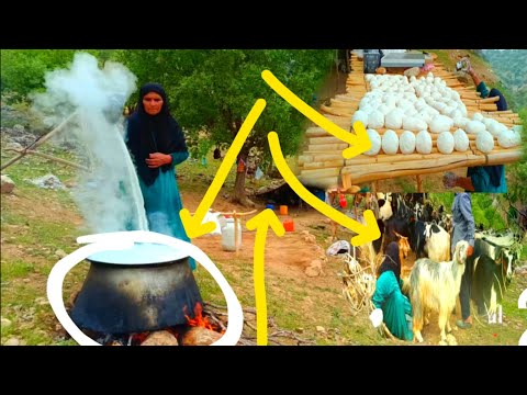 The method of making and cooking traditional curd and ghara in nomadic life
