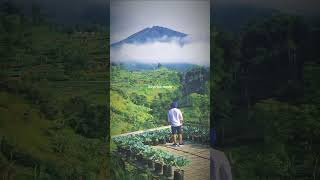 Download lagu Dermaga biru - Thomas Arya | statuswhatapp #shorts #story #storywa #status #statuswhatsapp mp3