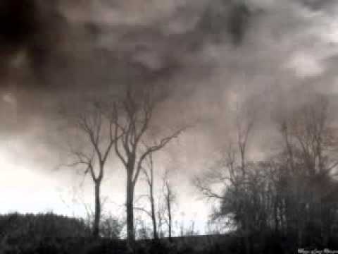 ERIK FABER -COME DOWN