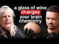 No.1 Brain Scientist: Your Brain Is Lying To You! Here's How I Discovered The Truth! DEFAULT Thumbnail