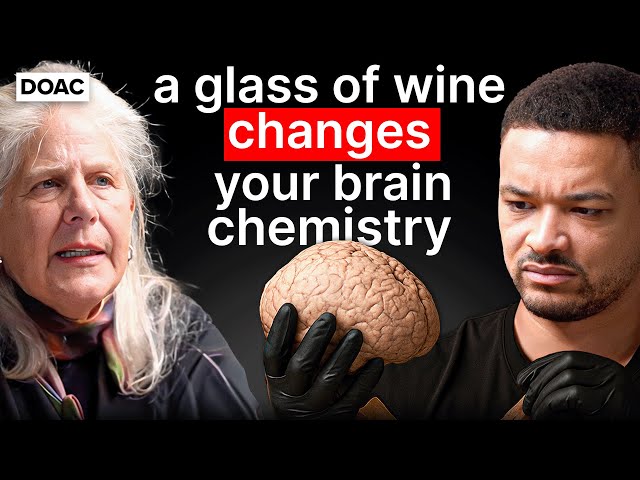 No.1 Brain Scientist: Your Brain Is Lying To You! Here's How I Discovered The Truth! SDDEFAULT Thumbnail