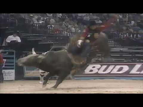 Bad To The Bone bucks Adam Carrillo - 96 PBR Finals