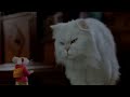 Stuart Little 2 2002 Scene Stuart Ask Snowball For Help