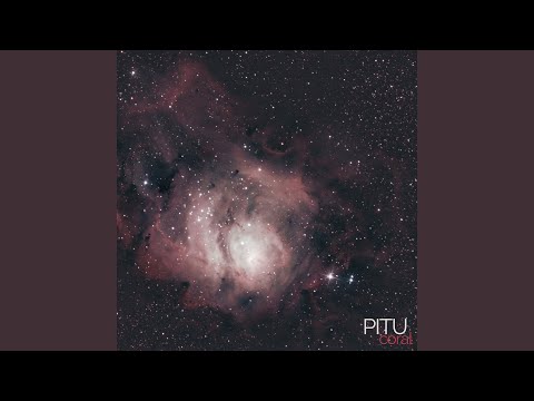 Coral video