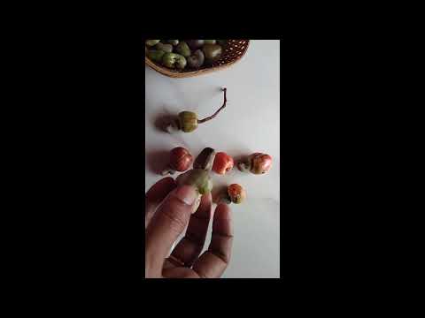 After 20 years I got this Cashewnut fruits by Lakshmi Prasanna