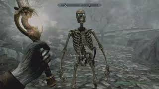 Skyrim gui chiiil
