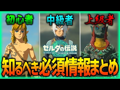 【ティアキン】最低限知っておくべき必須情報まとめ!! 初心者・中級者・上級者別に紹介!!!【ティアーズオブザキングダム】