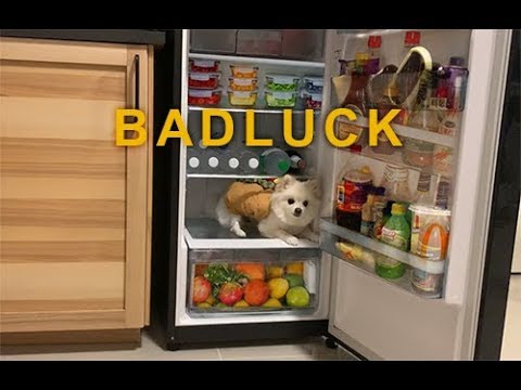 Bad Luck - Lipta ft. The TOYS | BOWKYLION