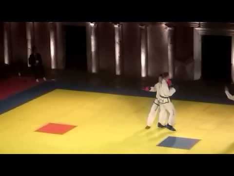 Tae Kwon do world championship 2015