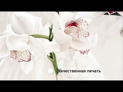 Миниатюра изображения товара Картина Декарт Ветка орхидеи 8Л2354 (в раме)