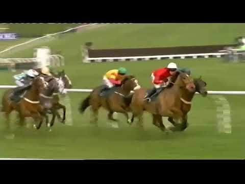 2009 Fred Winter Juvenile Hurdle - Cheltenham Festival