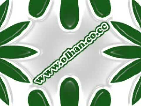 Jay-Z Feat Santogold-Brooklyn We Go Hard