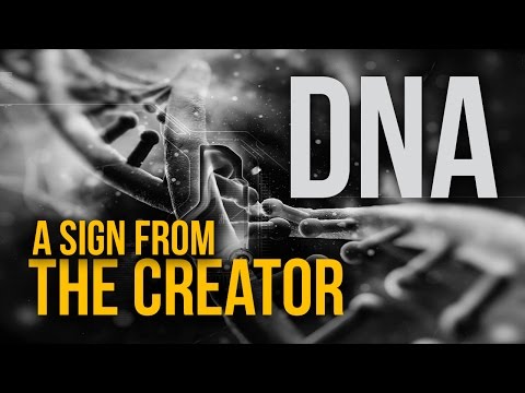 DNA Intelligent Design