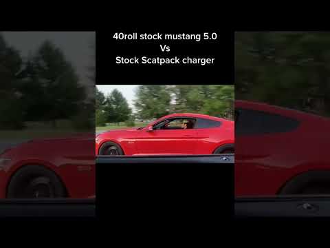 Scat pack charger vs Mustang 5.0 roll race