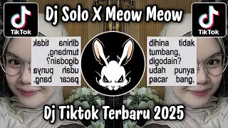 Download lagu DJ SOLO X MEOW MEOW - TREND TIKTOK TERBARU 2025 mp3