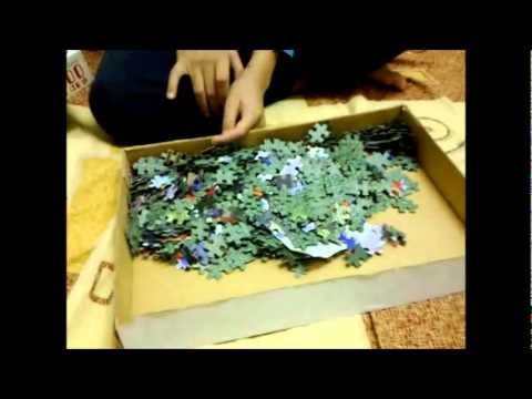 ashrit going crazy about puzzle