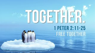 Sunday Jan 31 2021 Sermon