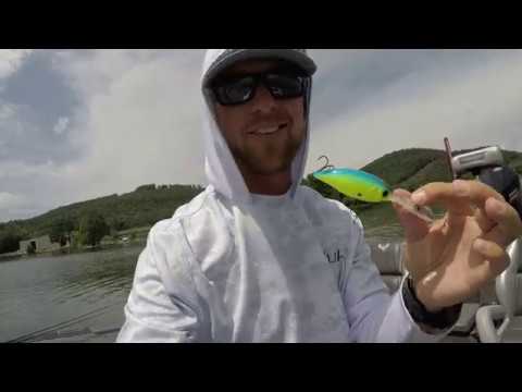 Duel Hardcore Crank 4+ 7.5cm 22.5g CSH F