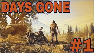 DAYS GONE   #1　初見ライブ