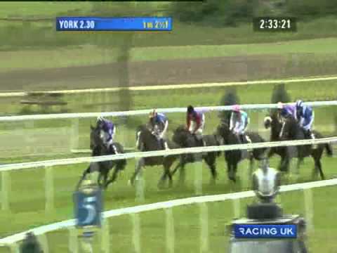 2011 Totesport Dante Stakes