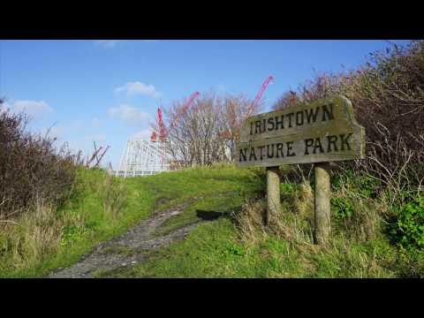 My Year in Photos (2016)