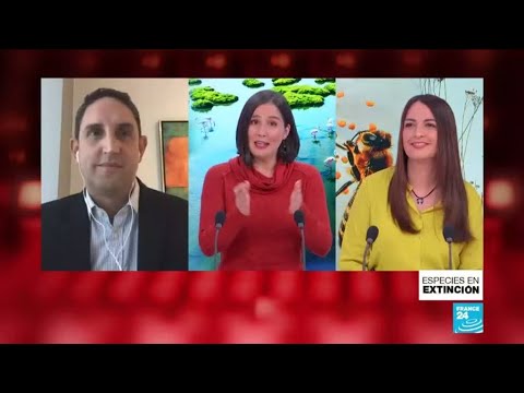 Biodiversidad en peligro, informe de la Unesco alerta sobre especies en peligro de extinción