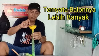 Download lagu #557.RAHASIA MEMBUAT CAIRAN ISI ULANG BUBBLE STICK mp3 Download lagu #557.RAHASIA MEMBUAT CAIRAN ISI ULANG BUBBLE STICK mp3