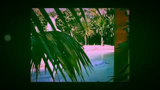 ‘Homely Feeling’ Hockey Dad                         (EAR RAPE VERSION)