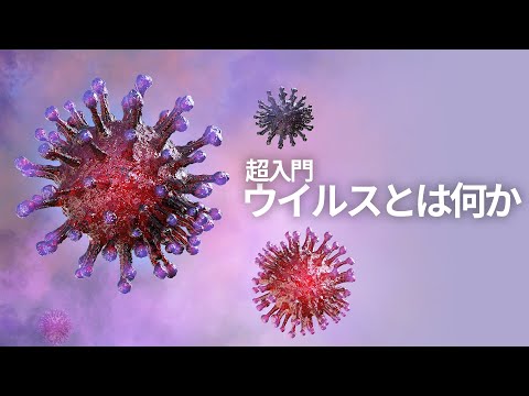 DNA ウイルスについて詳しく解説