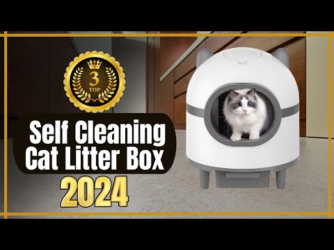 Top 3 Self-Cleaning Cat Litter Boxes! The Best Automatic Cat Litter Boxes in 2024