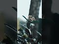 മഴ ️ Pattam Pole Mazha Status Vedio Mazhaye Thoomazhaye Song Dulquer Salmaan Full Screen Statu