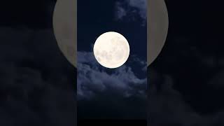 Download lagu Rembulan malam hari#shortsvideo #shortvideo #short #flymetothemoon #rembulan mp3