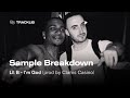 Sample Breakdown Lil B I M God