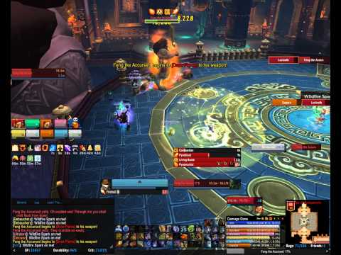 MV - Feng 2013.01.11