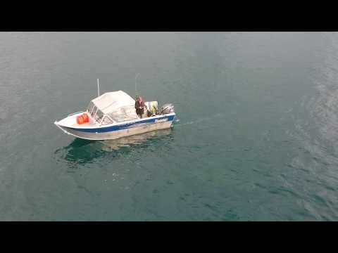 Trolling for drones.