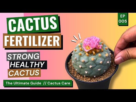 , title : 'Grow Better with Fertilizer: Tips, Tricks, and Must Know! / Cactus Care Ep. 05'